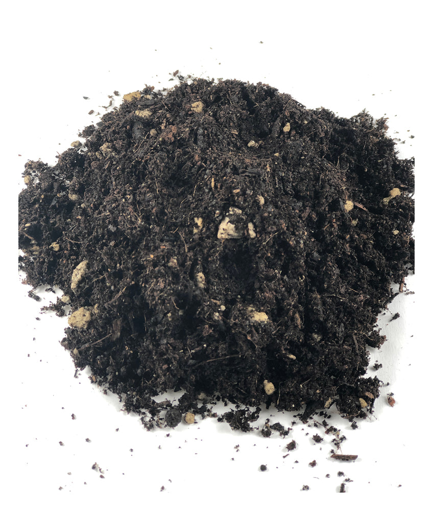  Elevate Your Nolina with Gardenera's Organic Soil Blend -  Cultivate Healthier and More Unique Form - 1 Quart : Patio, Lawn & Garden